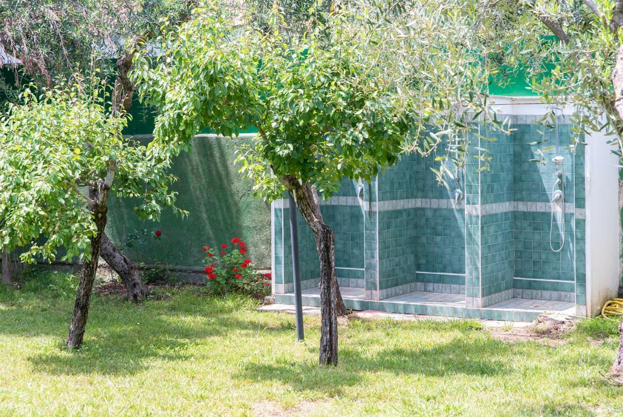 Villa Fili D'Erba Cilento Villammare Exterior foto