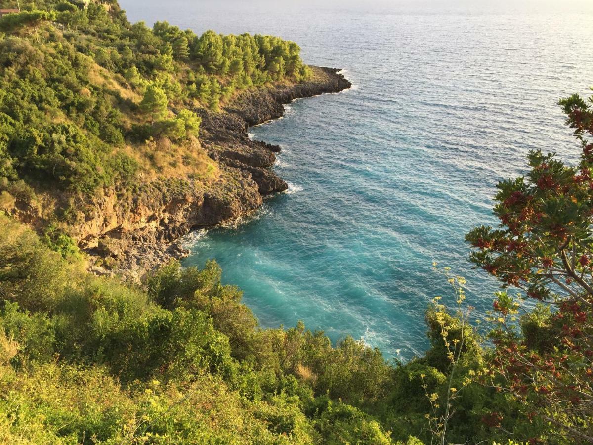 Villa Fili D'Erba Cilento Villammare Exterior foto